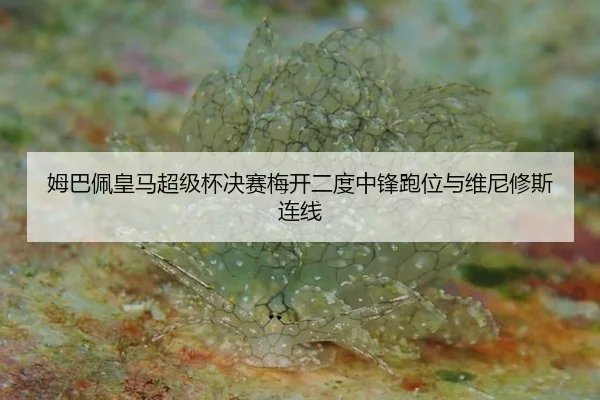 姆巴佩皇马超级杯决赛梅开二度中锋跑位与维尼修斯连线